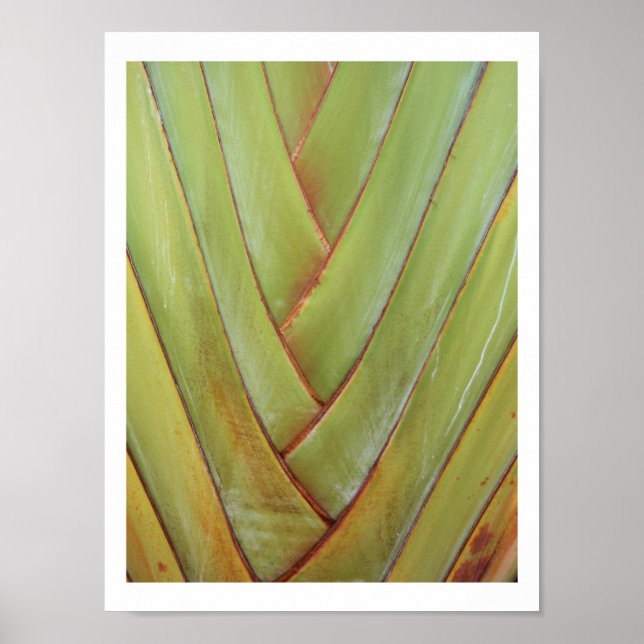 Pôster Palma de Viajante (Frente)