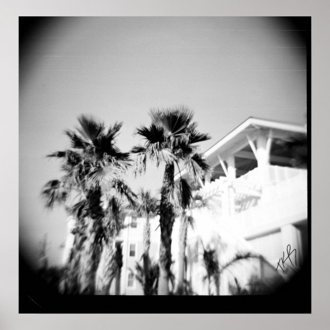 Pôster Palma Preta e Branca (Frente)