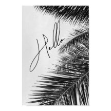 Palma tropical deixa fonte moderna cursiva alô