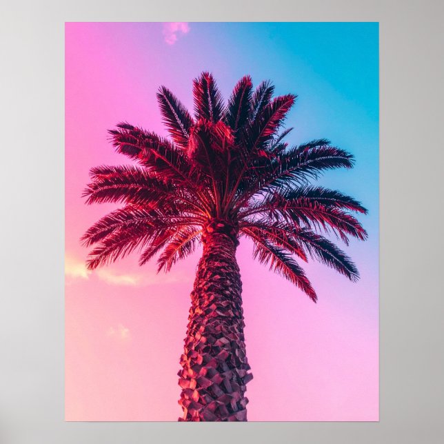 Poster palmas (Frente)