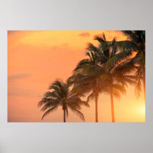 Poster Palmas de Miami