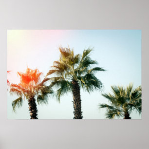 Poster Palmas em Batumi Georgia