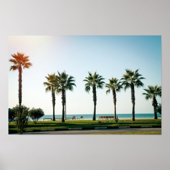 Poster Palmas em Batumi Georgia (Frente)