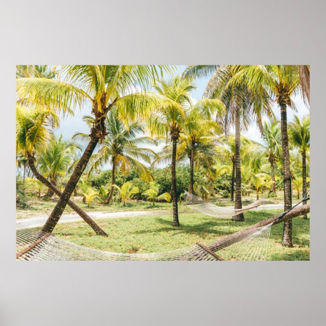 Poster Palmeira de manhã (Frente)