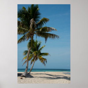 Pôster Palmeira e praia de areia branca