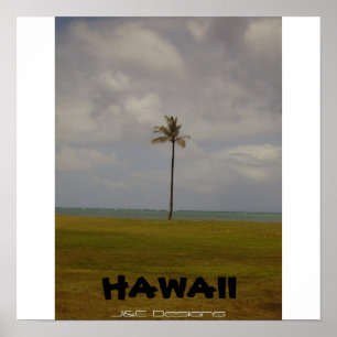 Pôster Palmeira havaiana