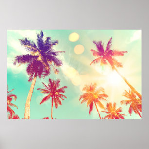 Poster Palmeira tropical com luz solar colorido de boque 