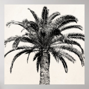 Pôster Palmeira tropical retro da ilha em preto e branco