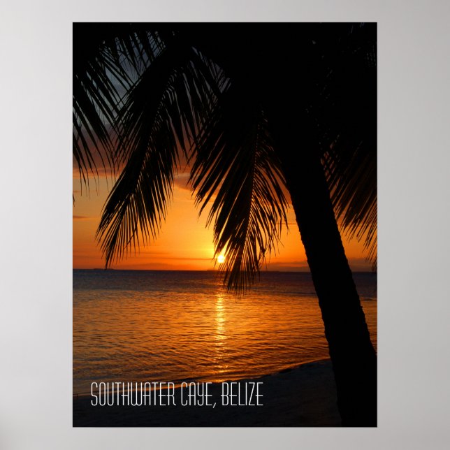 Poster Palmeira tropical Sunset em Belize (Frente)