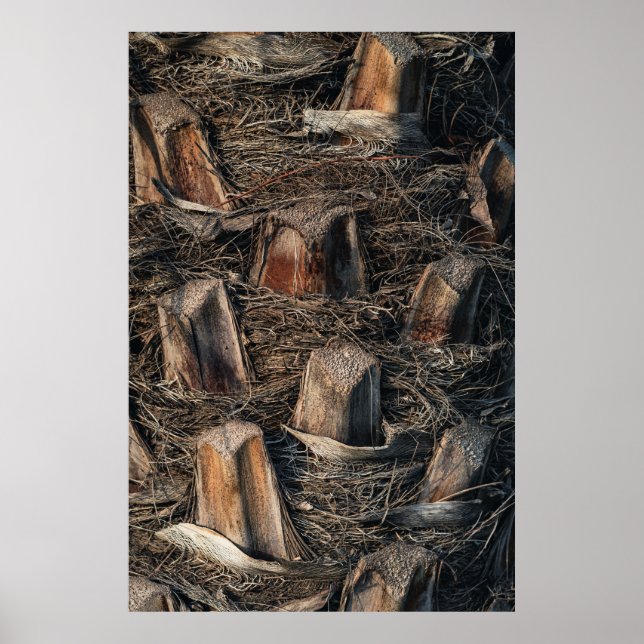 Poster Palmeiras (Frente)