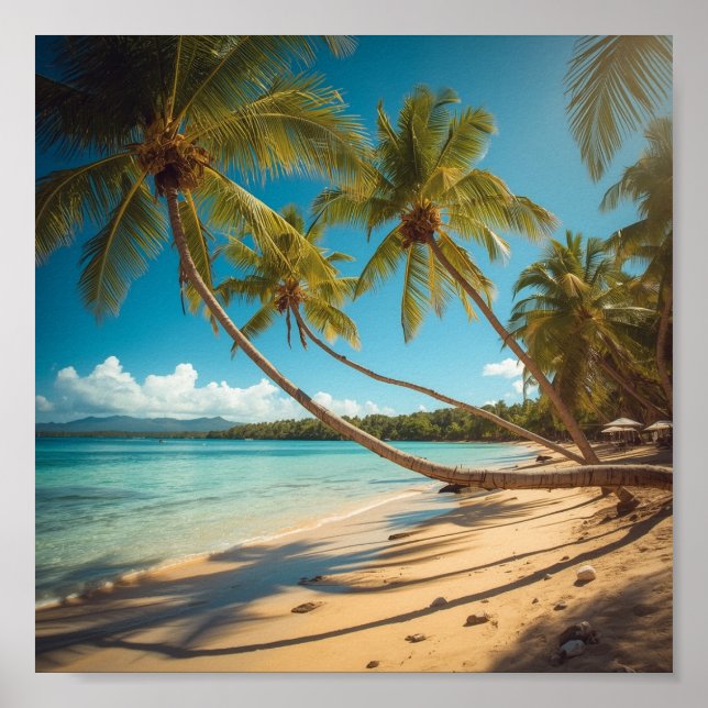 Poster Palmeiras ao longo da costa (Frente)