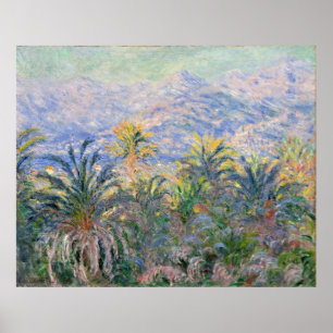 Pôster Palmeiras de Claude Monet em Bordighera
