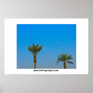 Poster Palmeiras e céu azul