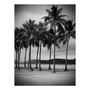 Pôster Palmeiras em Gonzaga Beach, Santos, Brasil