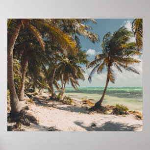 Poster Palmeiras Exóticas Mar Turquesa Praia de Areia Bra