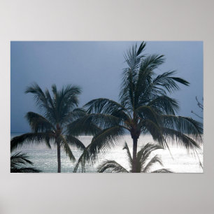 Poster Palmeiras na praia