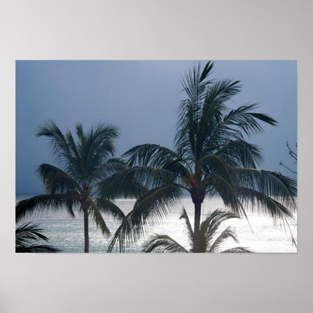 Poster Palmeiras Na Praia (Frente)