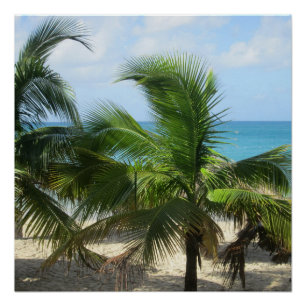 Pôster Palmeiras tropicais