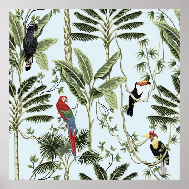 Poster Palmeiras tropicais, liana, papagaio-maxilar, (Frente)