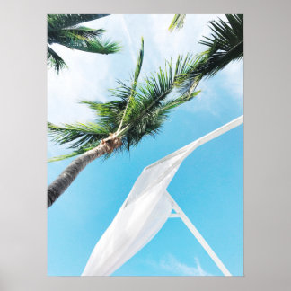 Poster Palmeiras tropicais sob fotografia de céu azul