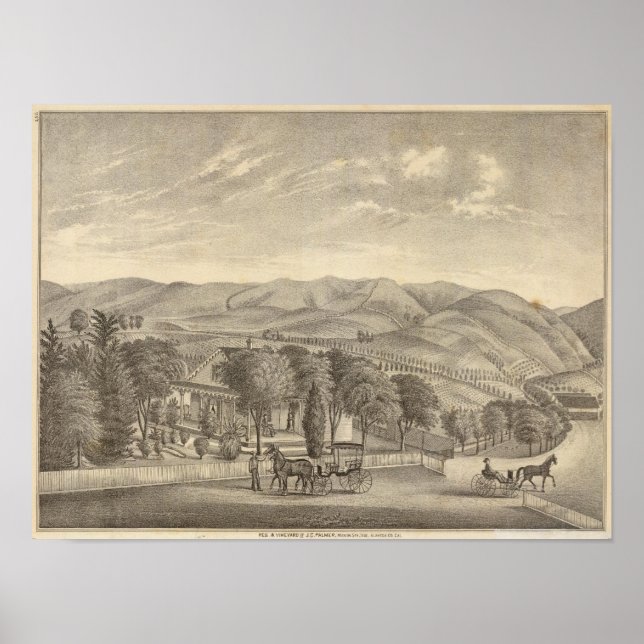 Poster Palmer res, vinha (Frente)