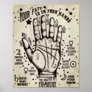 Poster Palmísica