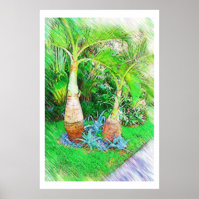 Pôster Palms & Landscape - Miami Beach, coleção Fl (Frente)