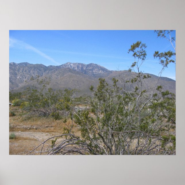 Pôster PalmSprings (26) (Frente)