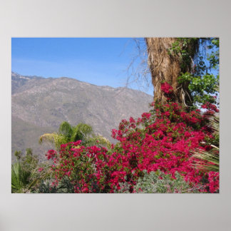 Poster PalmSprings (4)