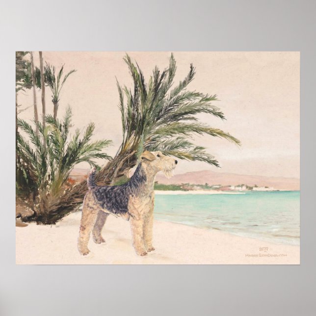 Poster Palmy Beach (Frente)