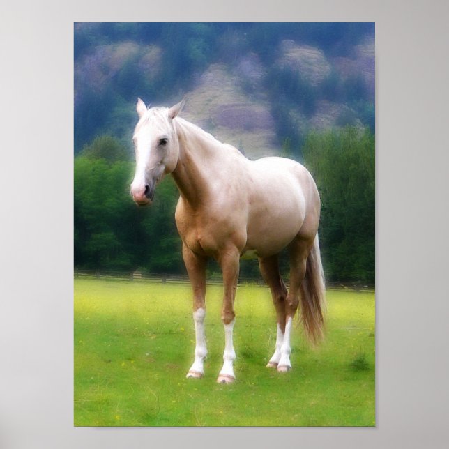 Poster Palomino Dream Horse (Frente)