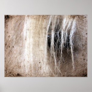 Pôster Palomino Horse Grunge