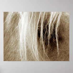 Pôster Palomino Na Sepia