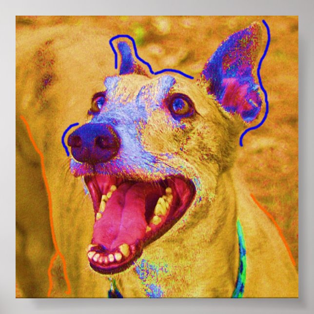 Poster Palu (Frente)