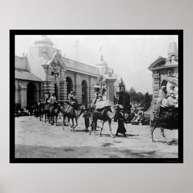 Poster Pan Am Expo Camel Parade 1901 (Frente)
