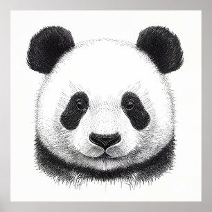 Poster Panda Bear Natureza Selvagem Arte Animal Ilustraçã