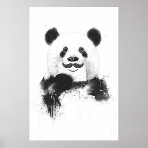 Pôster Panda engraçada