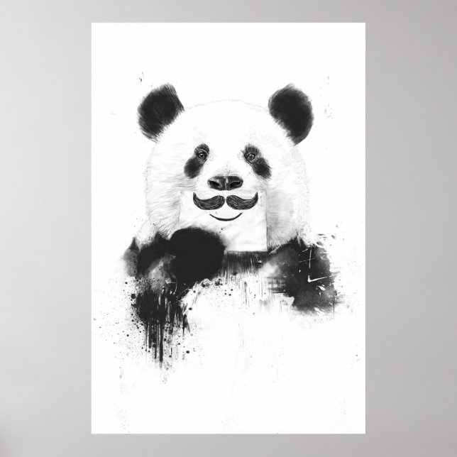 Pôster Panda engraçada (Frente)