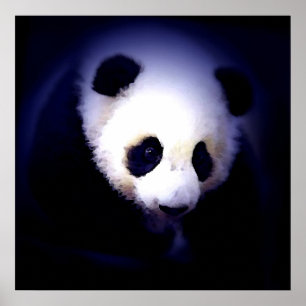 Poster Panda Face - Impressões Posters Panda