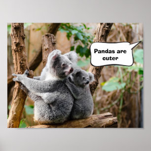 Poster Pandas ou Koalas - Quais são mais fofos?