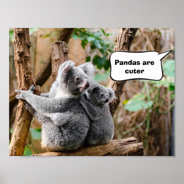 Poster Pandas ou Koalas - Quais são mais fofos? (Frente)