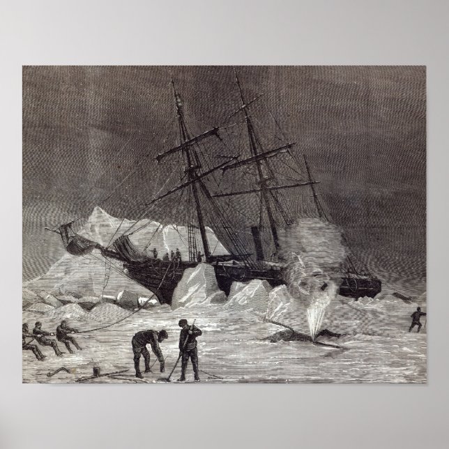 Poster Pandora foi cortada no gelo (Frente)