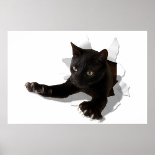 Poster panela de salto