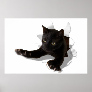 Poster panela de salto