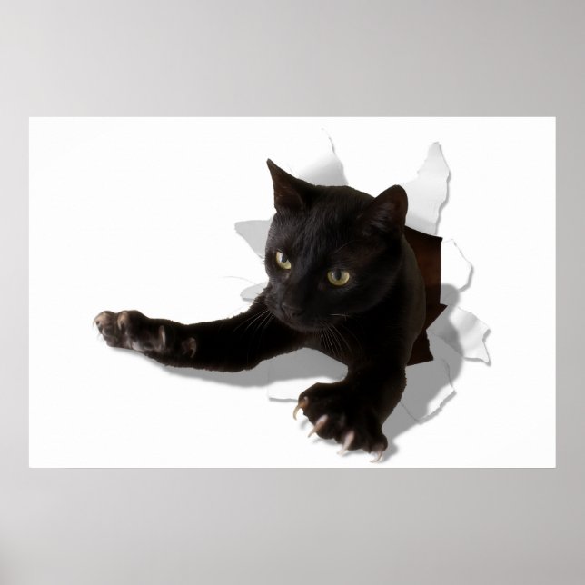 Poster panela de salto (Frente)