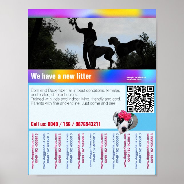 Poster Panfleto de filhotes à venda com código QR (Frente)