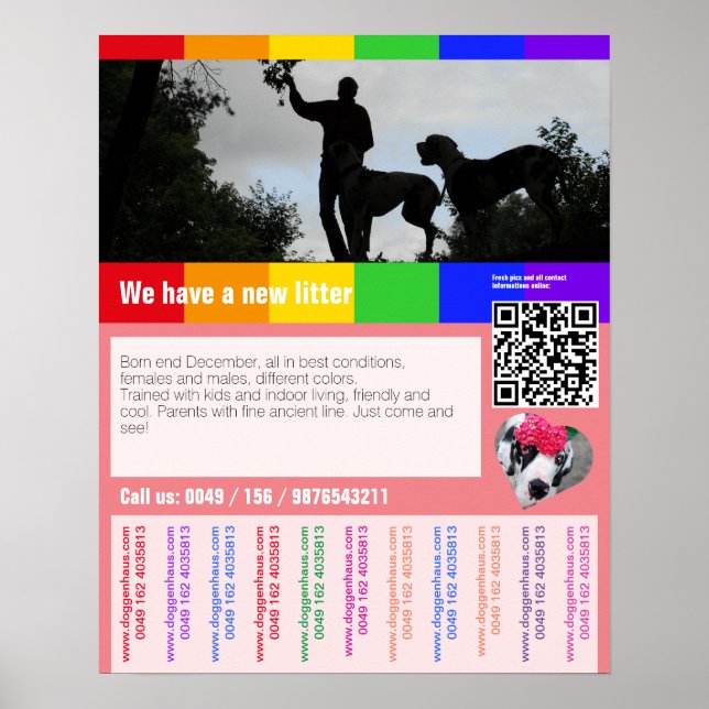 Poster Panfleto de venda de cachorro com código QR (Frente)