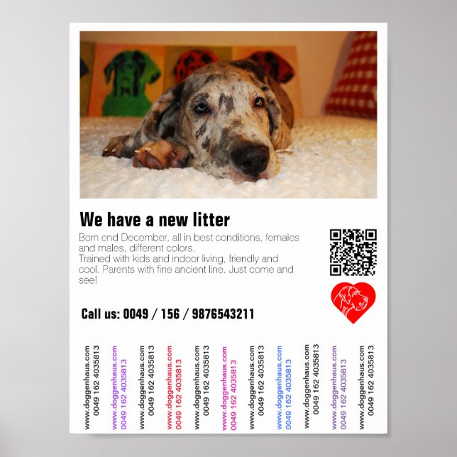 Poster Panfleto de venda de cachorro com código QR (Frente)