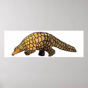Poster Pangolina