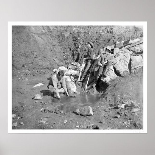 Poster Panning for Dourado Alaska 1902 (Frente)